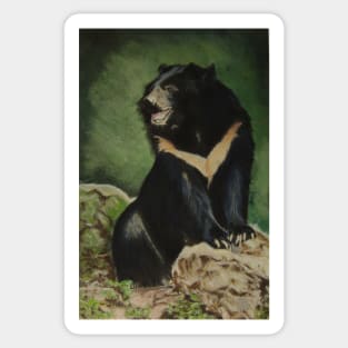 Sun Bear, Surveying........:o) Sticker